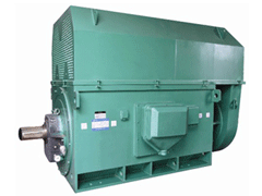 YE2-355M2-6YKK系列高压电机