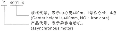 西安泰富西玛Y系列(H355-1000)高压YE2-355M2-6三相异步电机型号说明