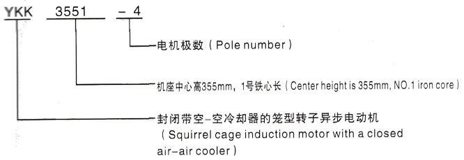 YKK系列(H355-1000)高压YE2-355M2-6三相异步电机西安泰富西玛电机型号说明